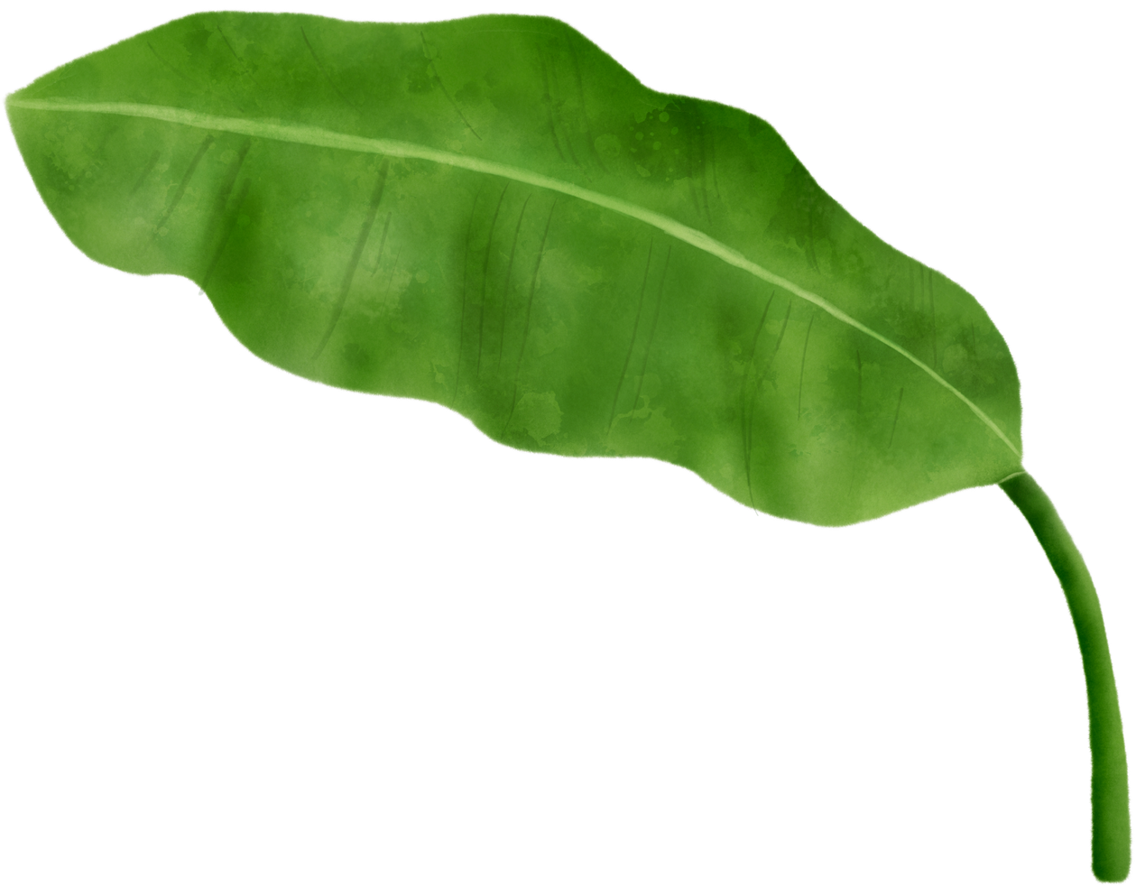 Banana Leaf Cut-out